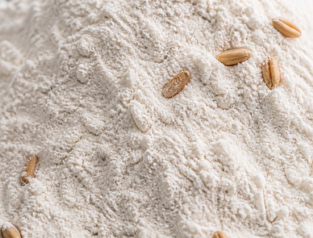 Close-up of fine white wheat flour with wheat grains